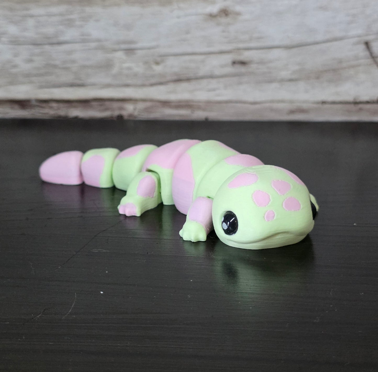 Salamander