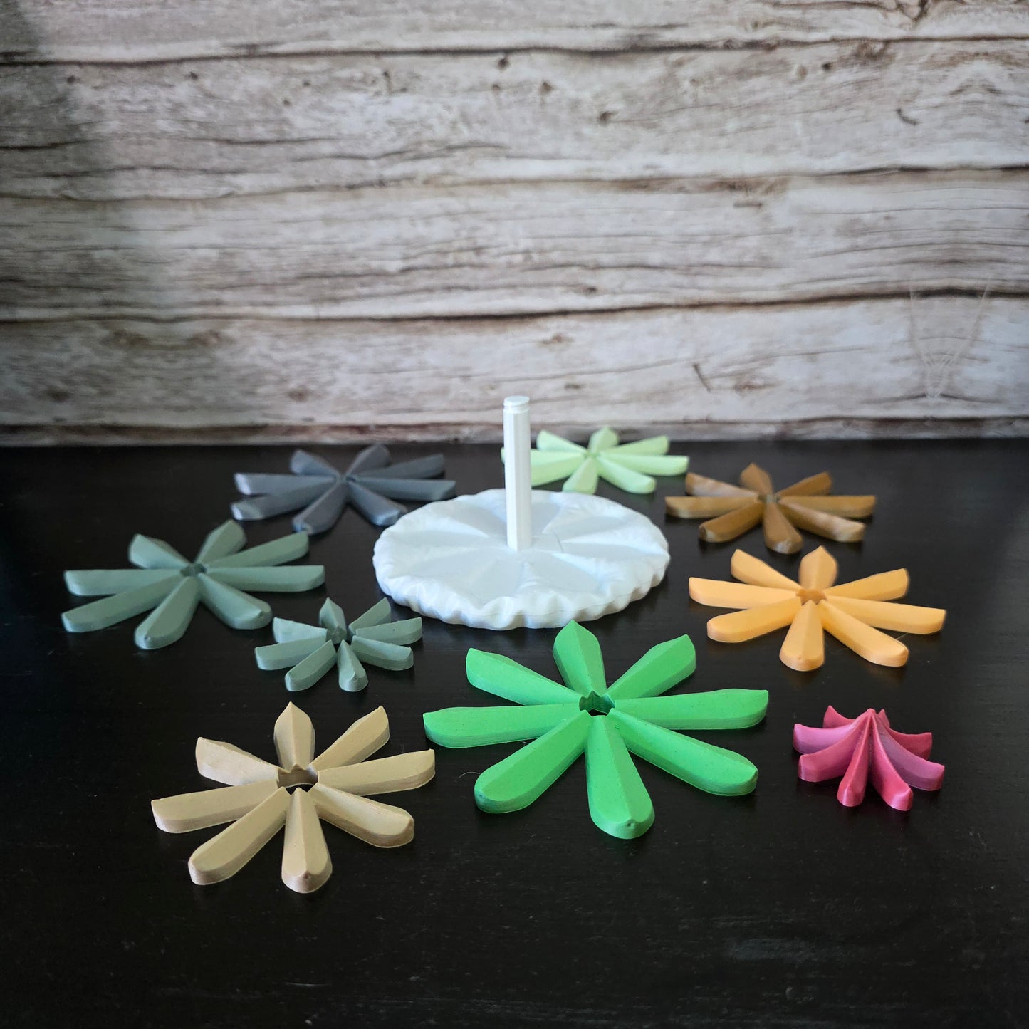 Pinecone Coaster Set
