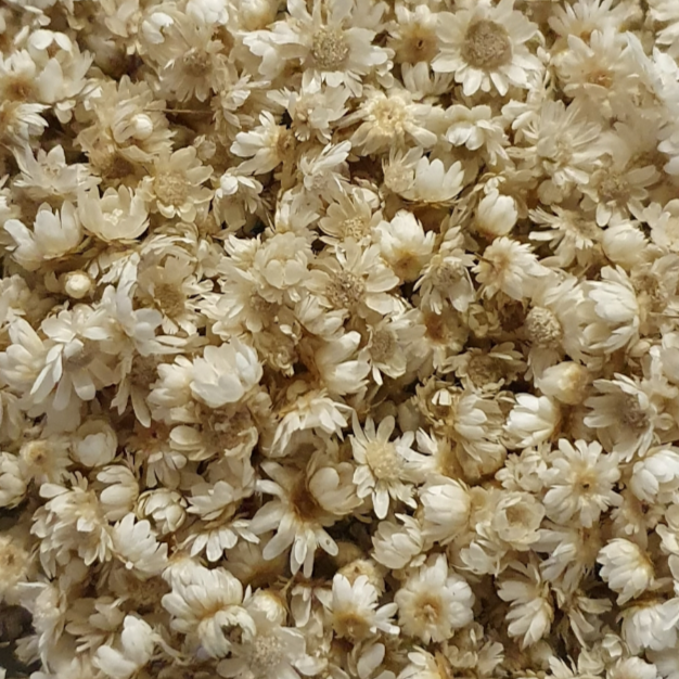 Dried Miniature Flowers - Natural - Keipach