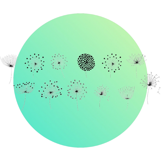 Dandelion Transparencies - Keipach
