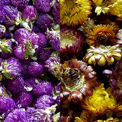 Chrysanthemum and Amaranth Dried Flowers - Keipach
