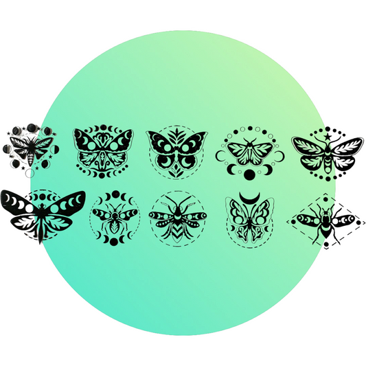 Lunar Moth Transparencies - Keipach