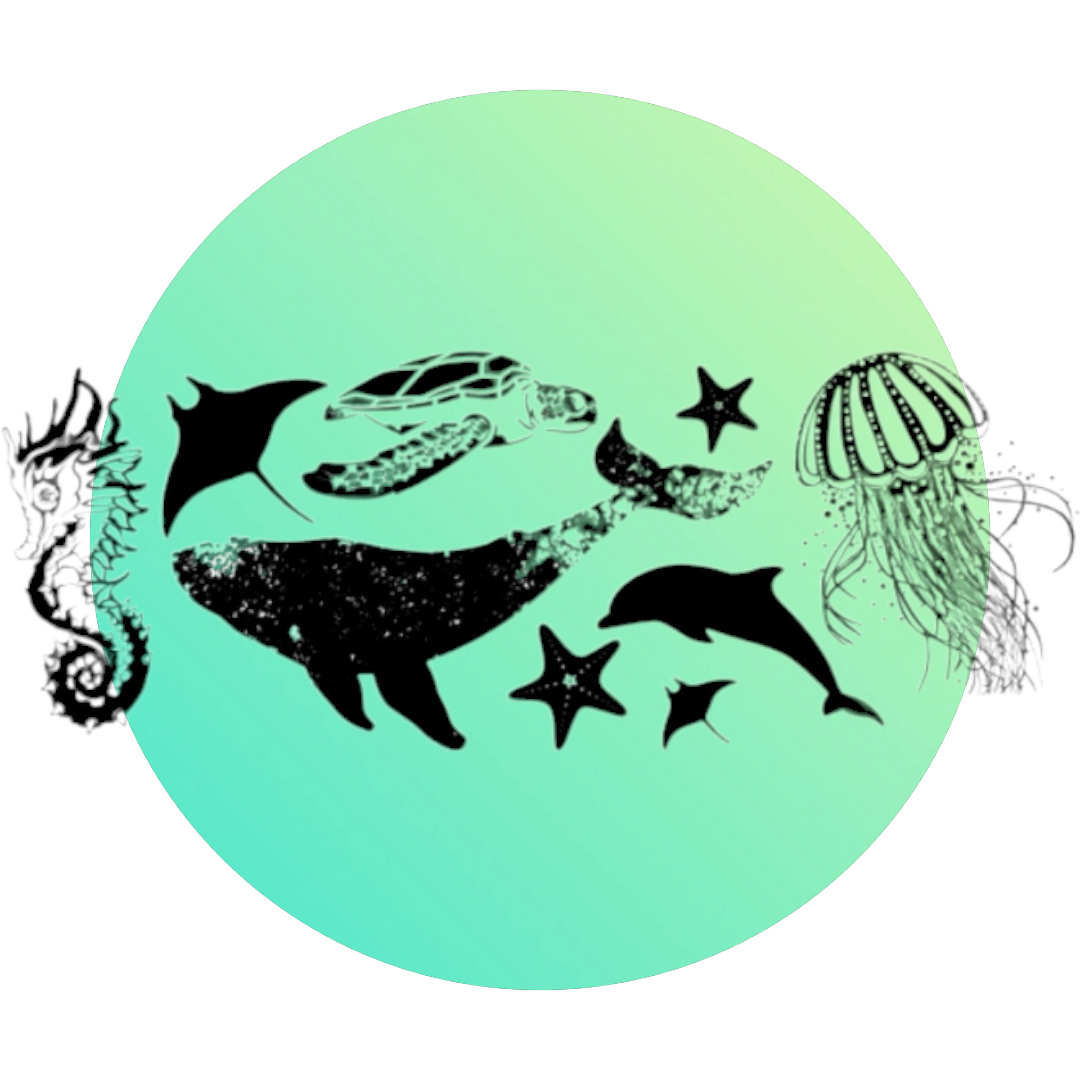Ocean Generaic Ocean Transparencies – Keipach