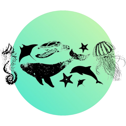 Ocean Transparencies - Keipach