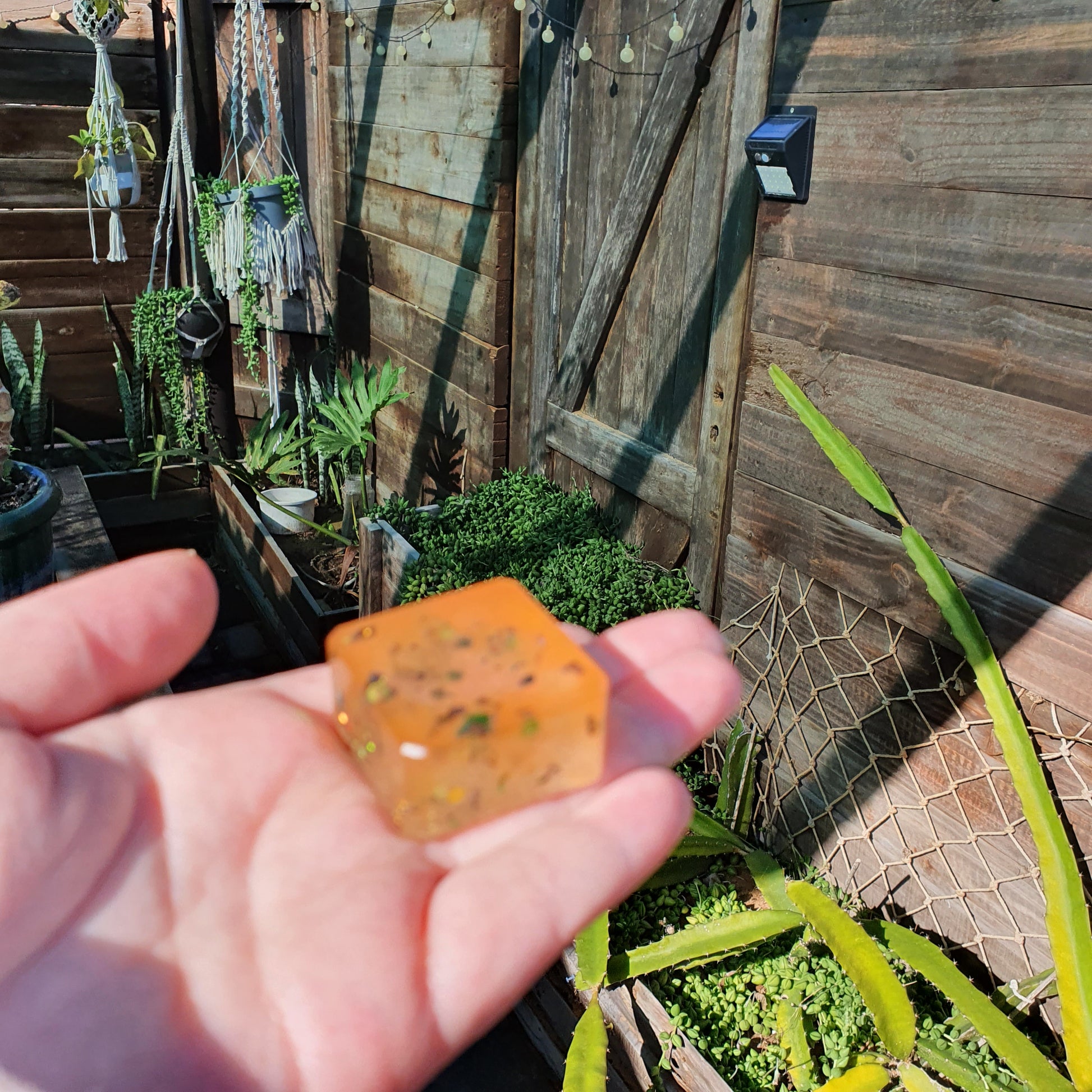 SolarTone Dye - Orange - Keipach