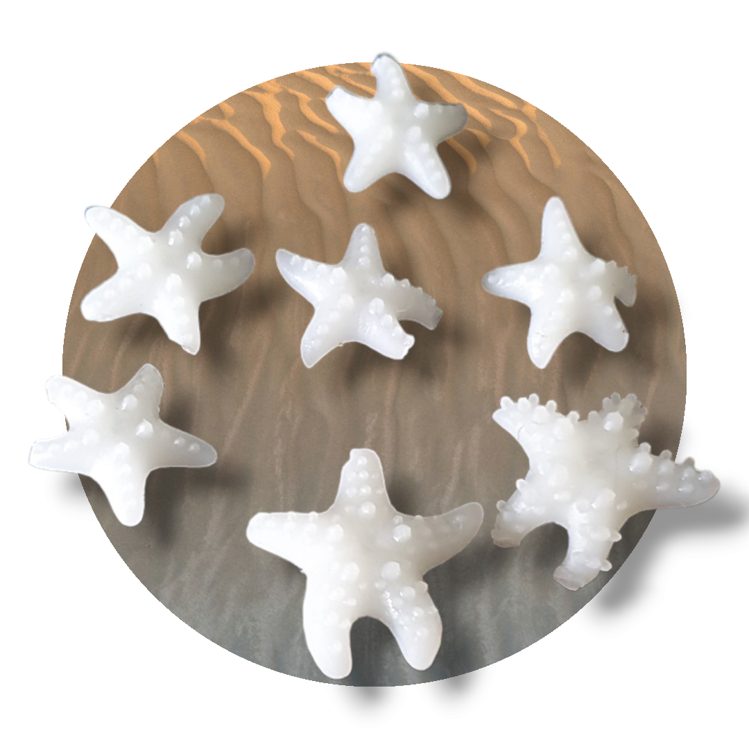 Horned Starfish Miniature Inserts - Keipach