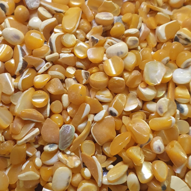 Smooth Shell Pieces - Orange - Keipach