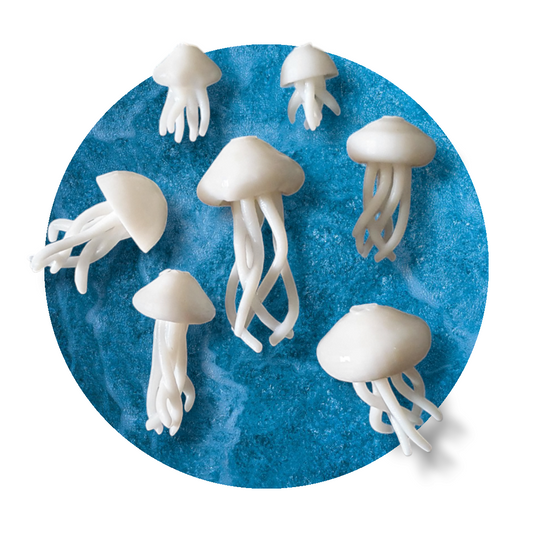 Jellyfish Miniature Inserts