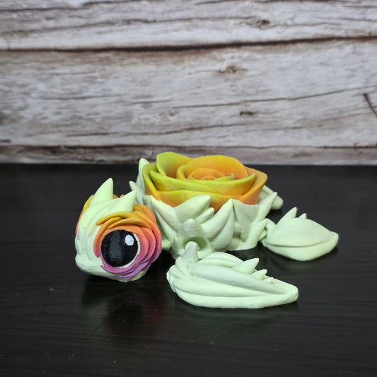Rose Turtle