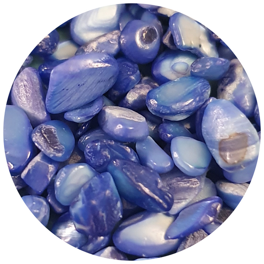 Smooth Shell Pieces - Blue