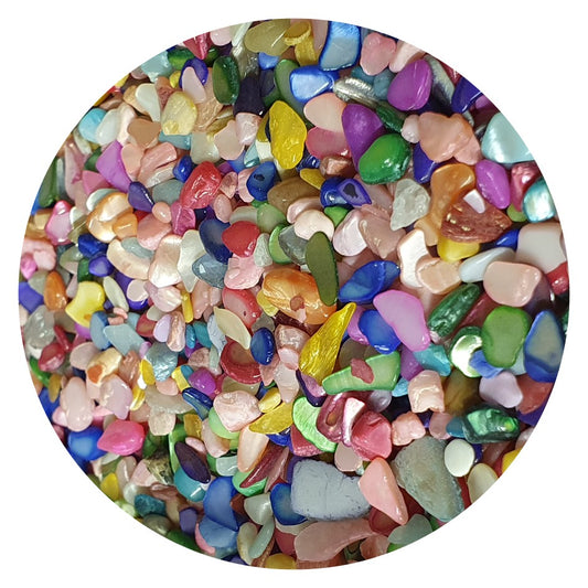 Smooth Shell Pieces - Multicolor