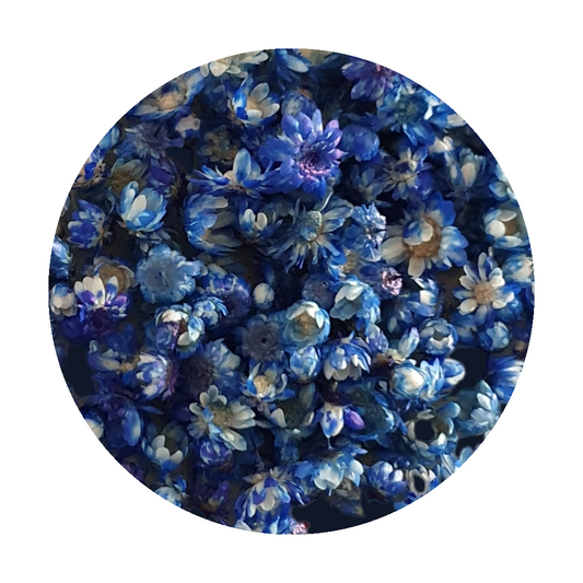 Blue_flowers