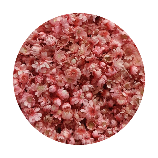 Dried_flowers_light_pink