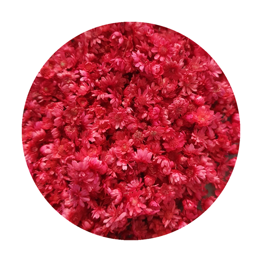 Dried_flowers_red