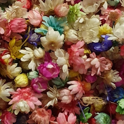 Dried Miniature Flowers - Multicolor - Keipach